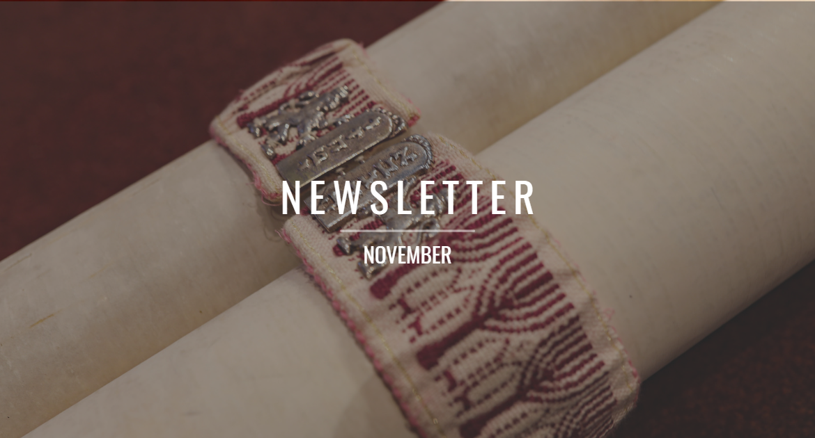 Newsletter – November 2022